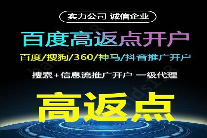知名SEM服务公司成功案例分享